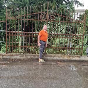 Large iron gate